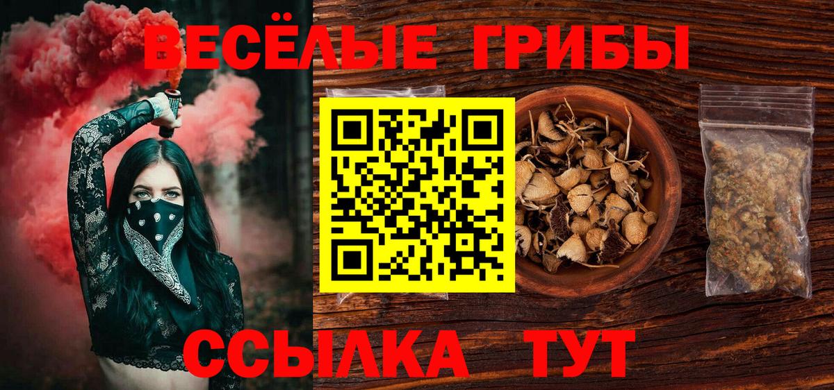 Псилоцибиновые грибы GOLDEN TEACHER Отрадное