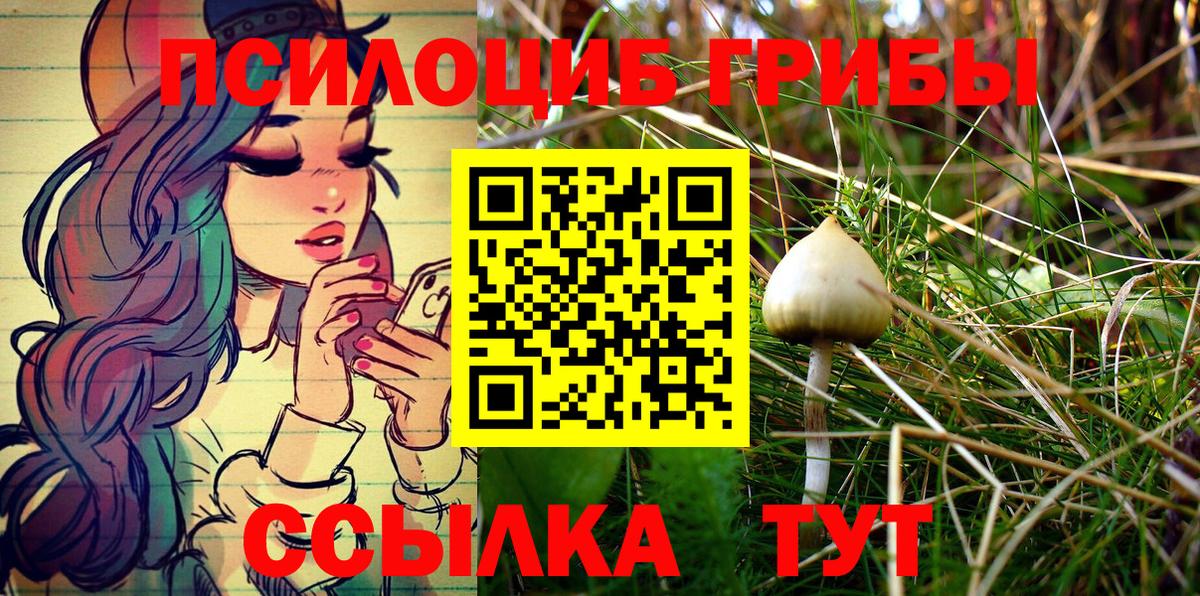 Отрадное  Псилоцибиновые грибы Psilocybe  Вход с VPN 